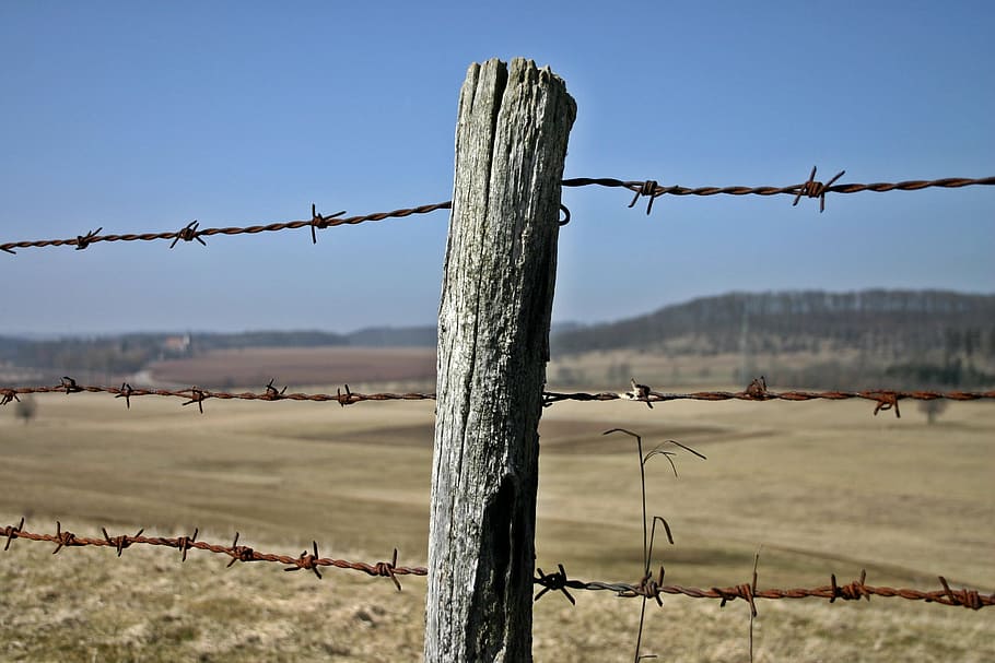 fence, barbed wire fence, post, cattle consecrate, pasture HD wallpaper