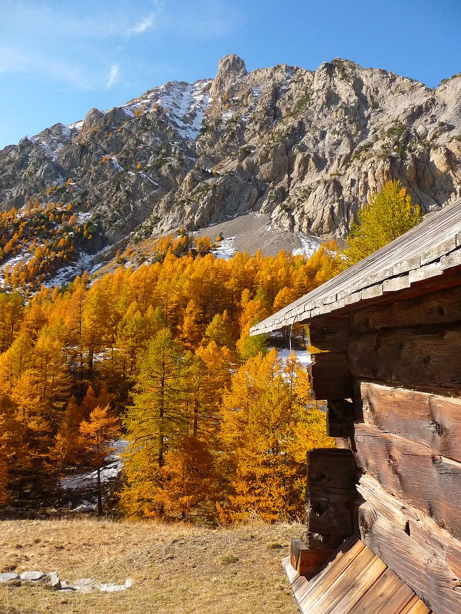 mountain, queyras, chalet, fall, alps, nature, autumn landscape HD wallpaper