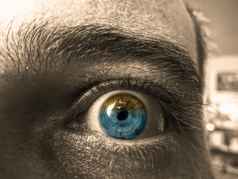 œil, eyes, look, iris, visual, sepia, color, green, brown, HD wallpaper