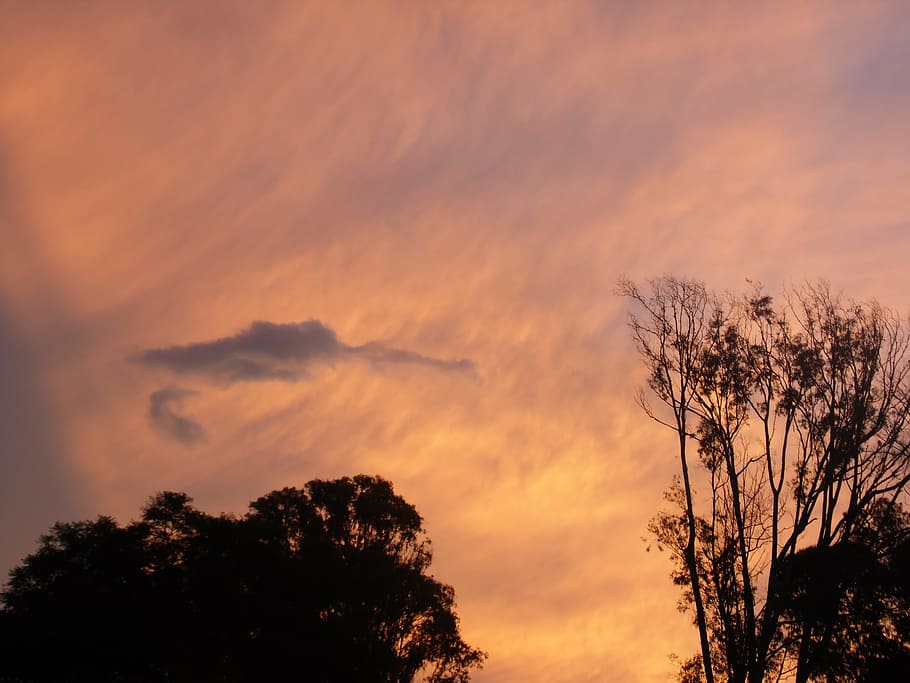 sunset, heaven, sky, cloud - sky, tree, plant, beauty in nature HD wallpaper