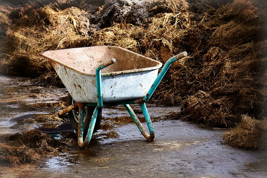 teal and brown wheelbarrow, work, transport, pushing barrow, cart
