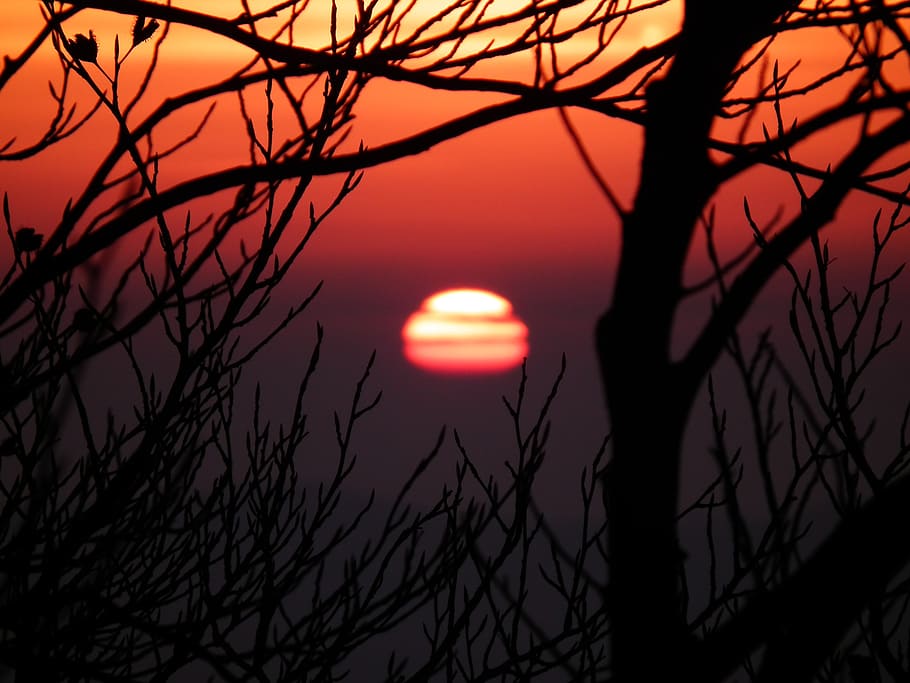 sun, evening, sunset, sky, tree, setting sun, afterglow, mood HD wallpaper