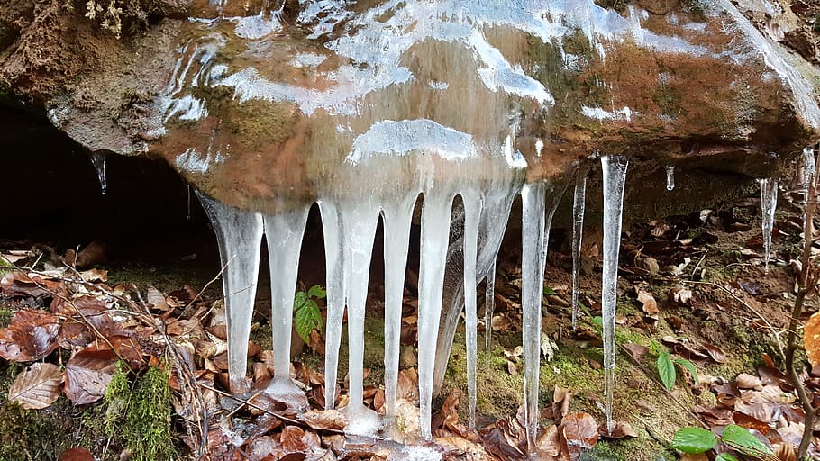 Ice, Icicle, Winter, Rock, Nature, animal wildlife, animal themes HD wallpaper