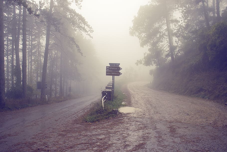 photography of 2 way raods, italy, tuscany, road, fog, misty, HD wallpaper