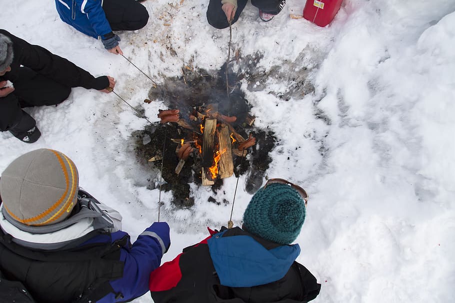 winter, fire, campfire, sausage, sausage roast, snow, husky tour HD wallpaper