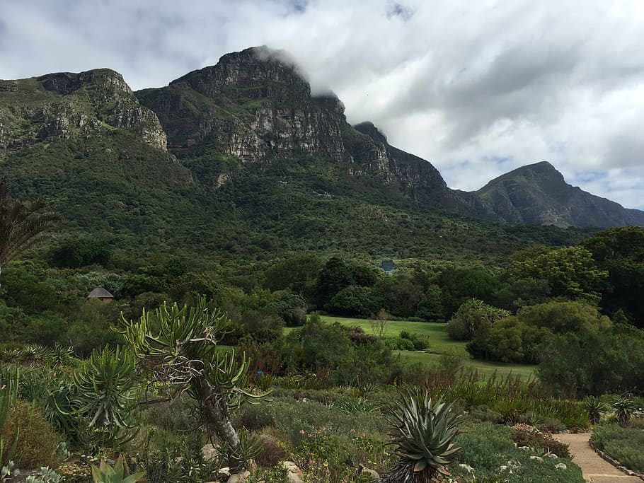 green mountain under white sky during daytime, kirstenbosch, botanical, HD wallpaper