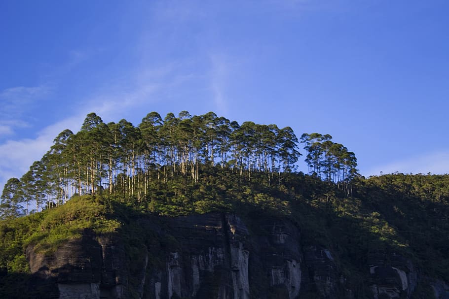 Trees, Nuwaraeliya, Clouds, sky, outdoors, tranquil, weather HD wallpaper