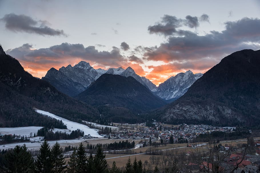 cold, snow, dawn, mountains, clouds, conifers, dusk, fir trees HD wallpaper