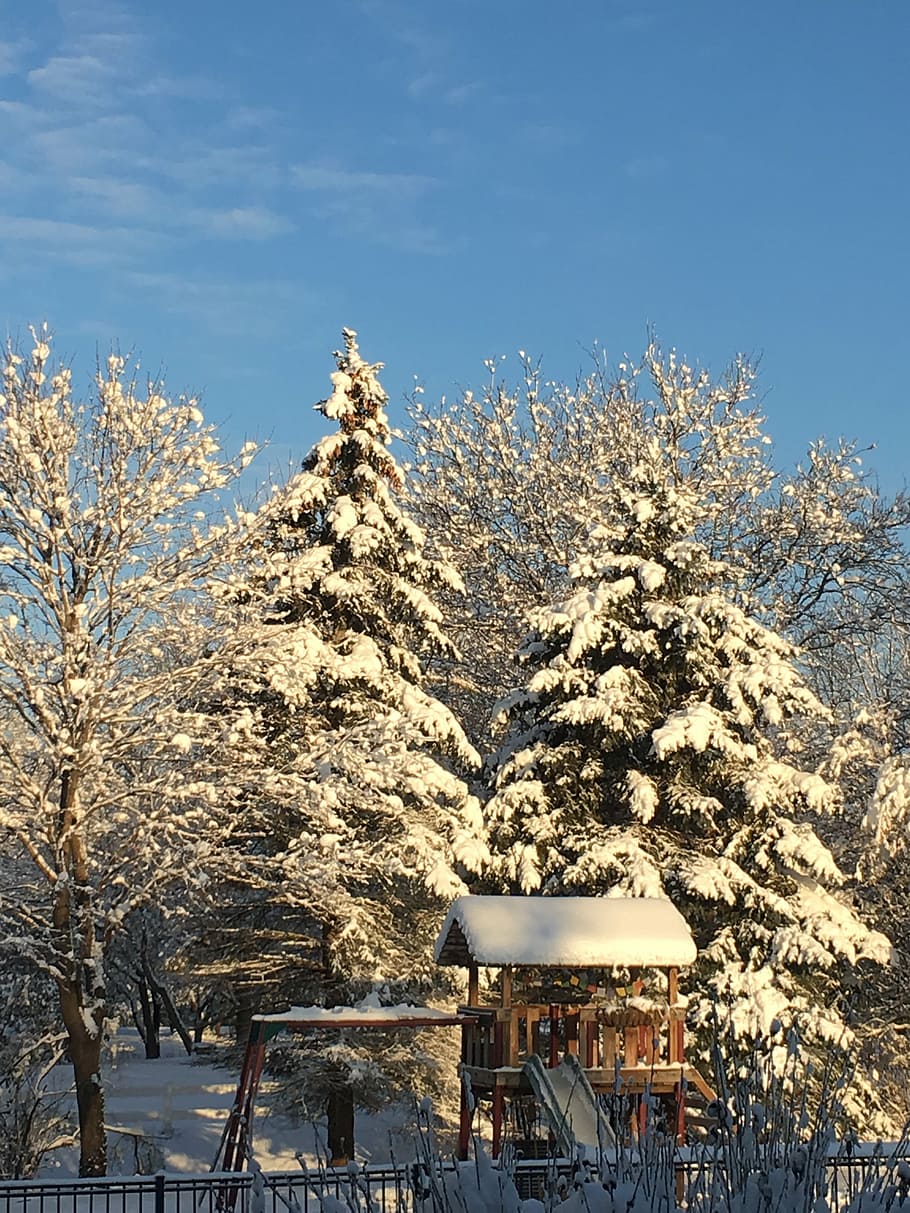 winter, snow, season, cold, december, tree, outdoor, snowfall HD wallpaper