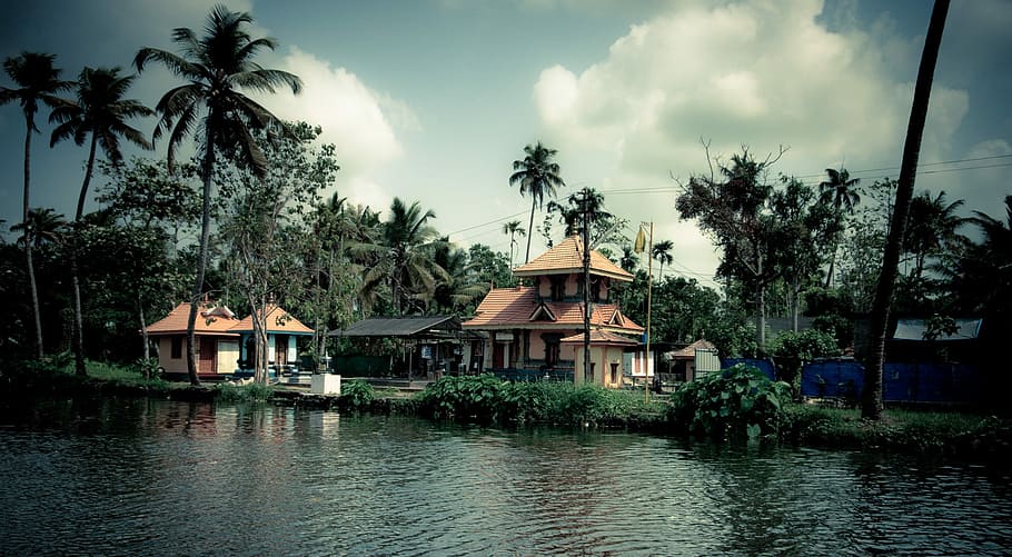 30 Kerala Images That Will Make You Want To Visit Kerala  Iris Holidays