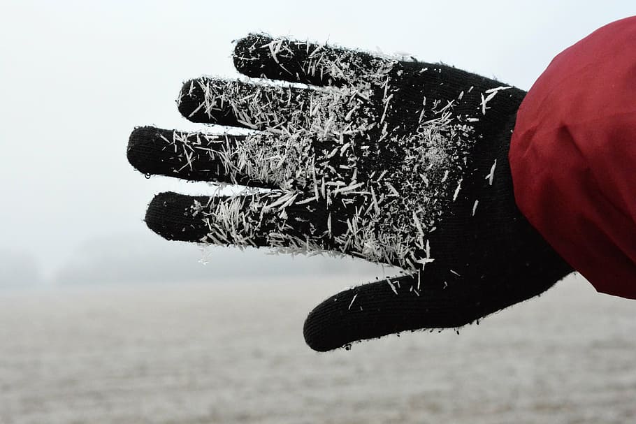 winter, hand, frost, cold, one person, day, nature, focus on foreground HD wallpaper