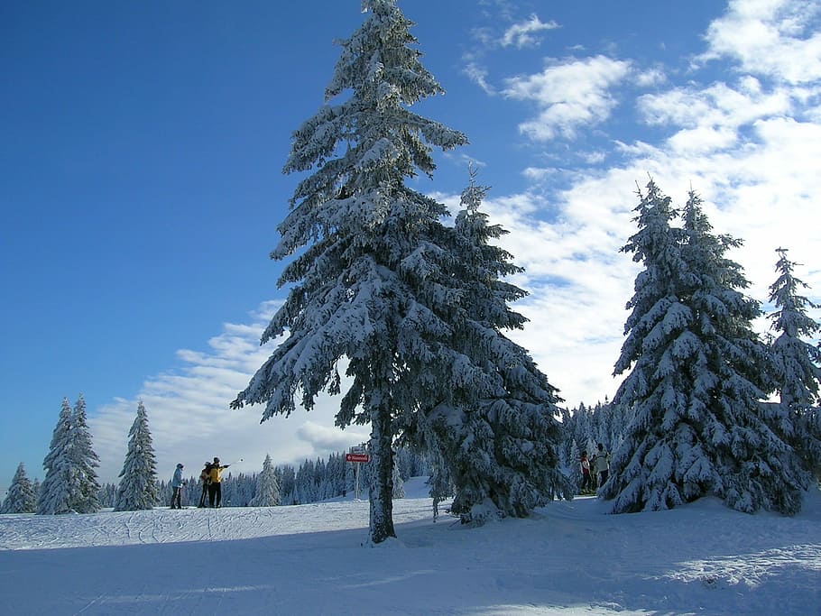 Winter, Snow, Feldberg, Germany, Cold, landscape, mountain HD wallpaper