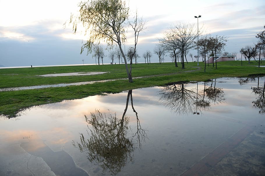reflection, istanbul, beach, caddebostan, water, sky, tree HD wallpaper