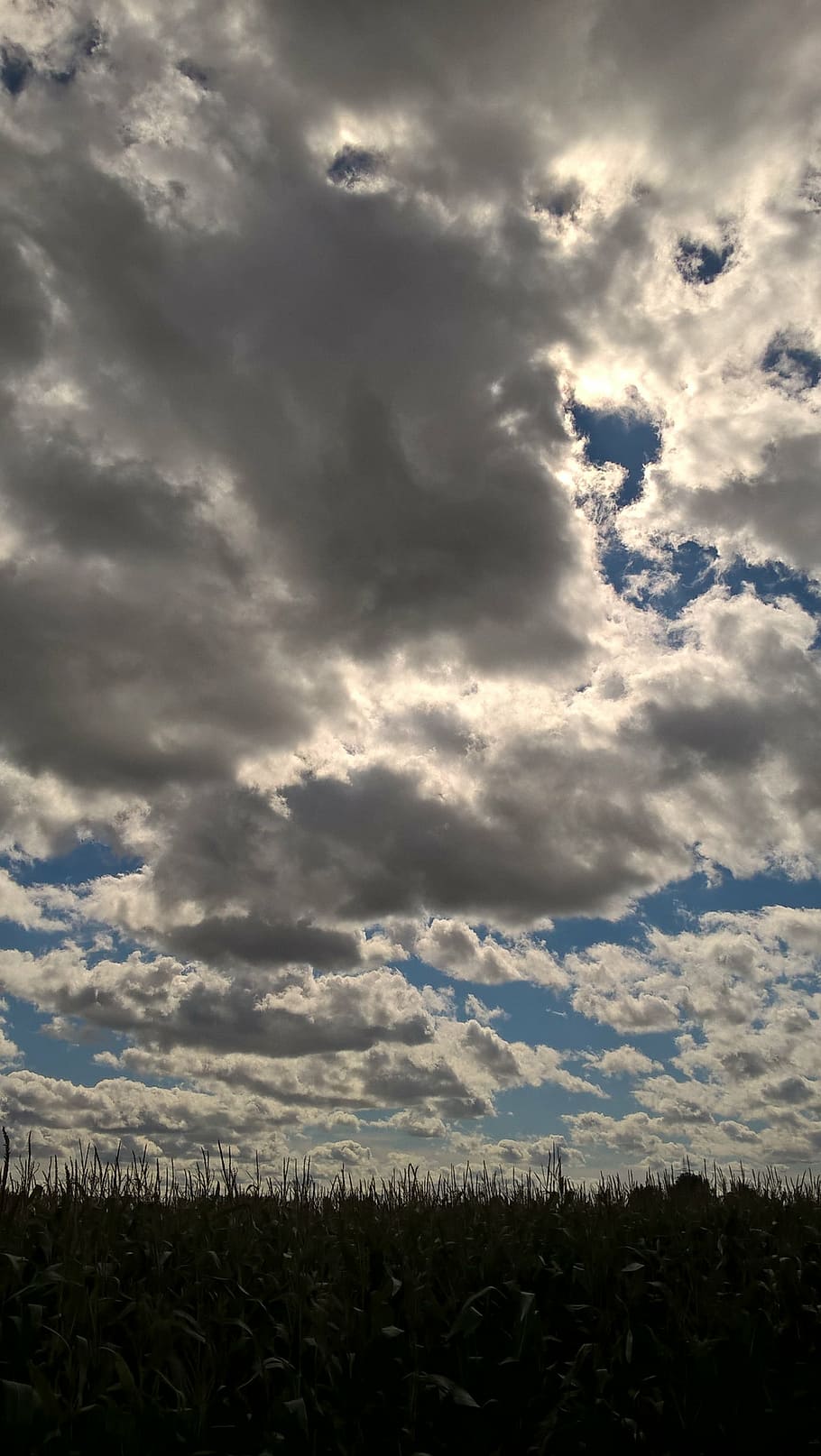 clouds, dark, sky, mysterious, light, nature, autumn, mood HD wallpaper