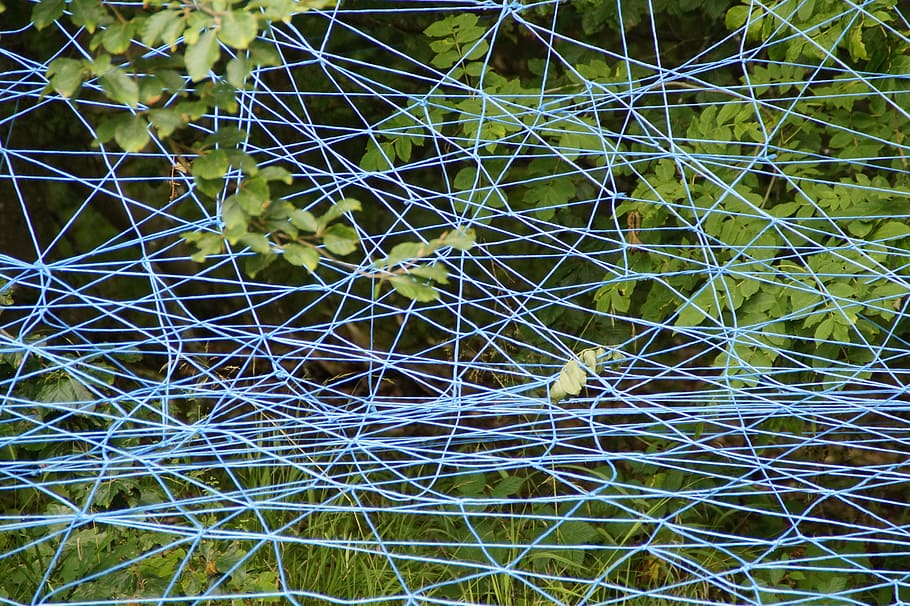 network, blue, branches, lavizzara, entangled, structure, texture, HD wallpaper