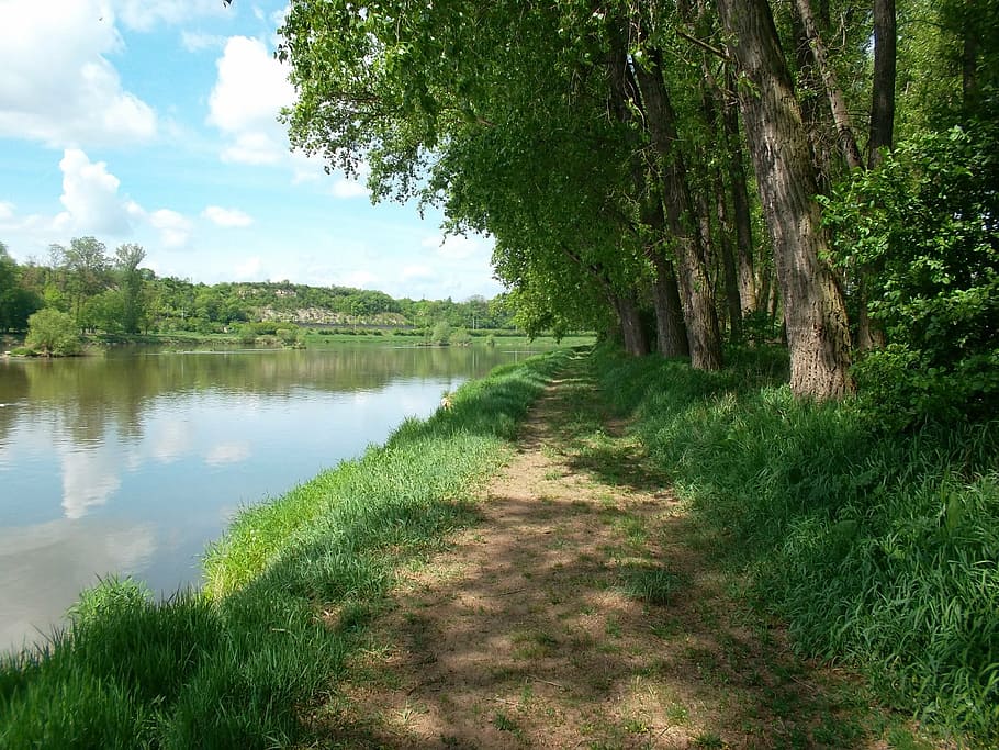 landscape, summer, elbe, roudnice, vědomice, northern bohemia HD wallpaper