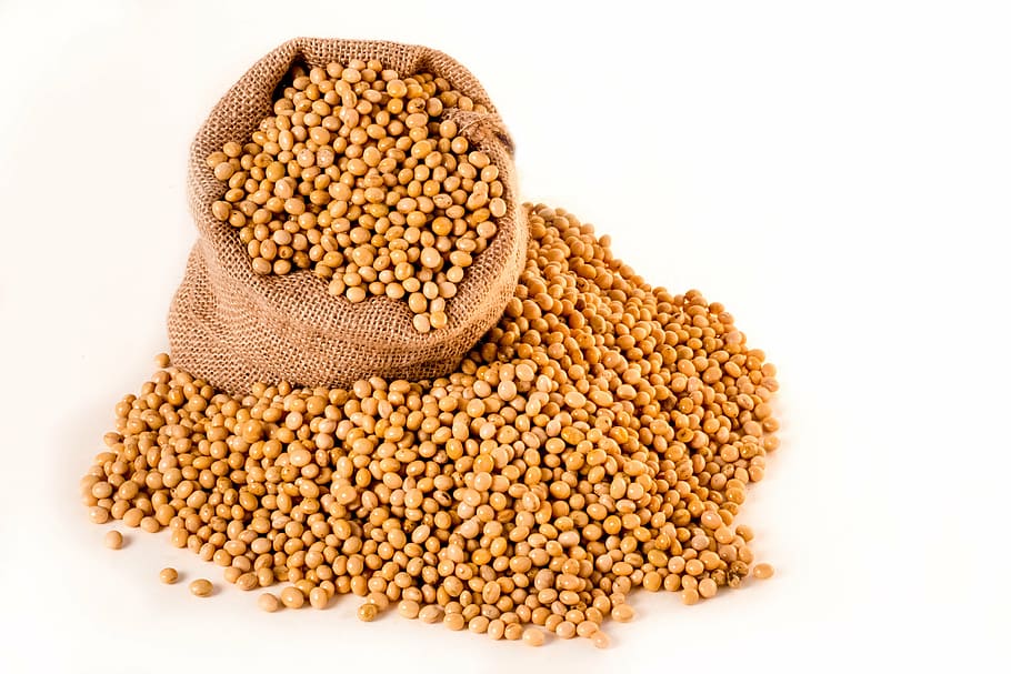 sack of brown beans, soybeans, plants, seeds, bag, burlap, grain