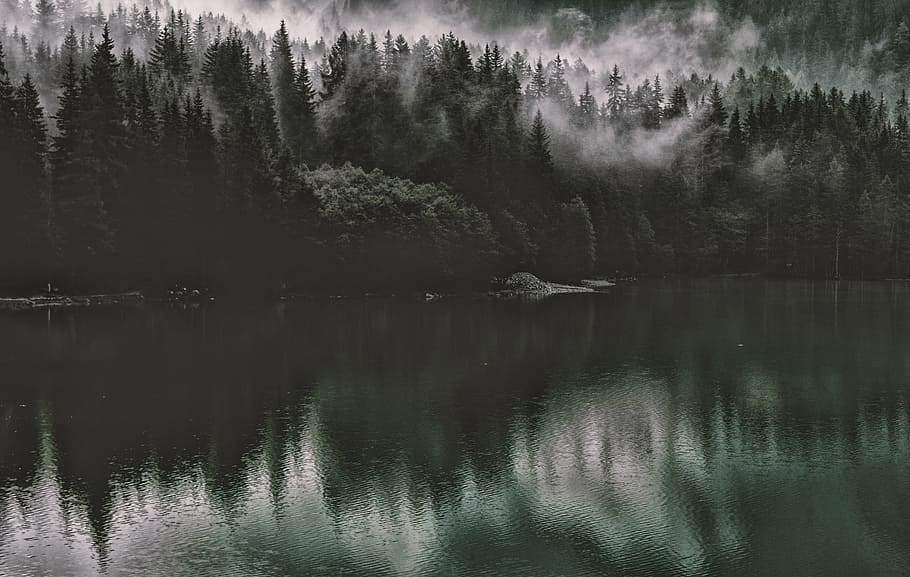 dawn, landscape, nature, water, evening, fog, forest, lake, lakeside HD wallpaper