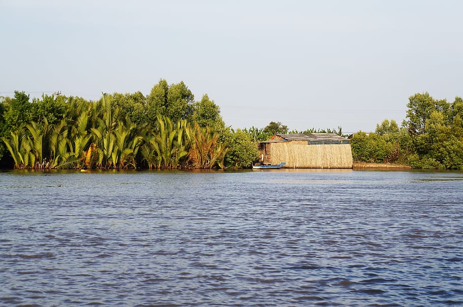 river, river mau, home, water, tree, plant, sky, waterfront HD wallpaper