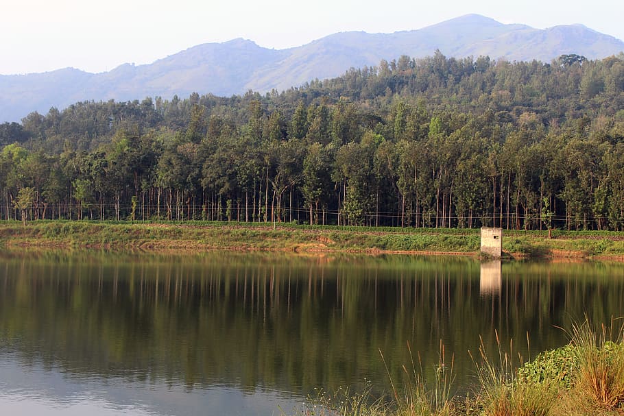 scenery, reflection, water, landscape, nature, outdoor, tree HD wallpaper