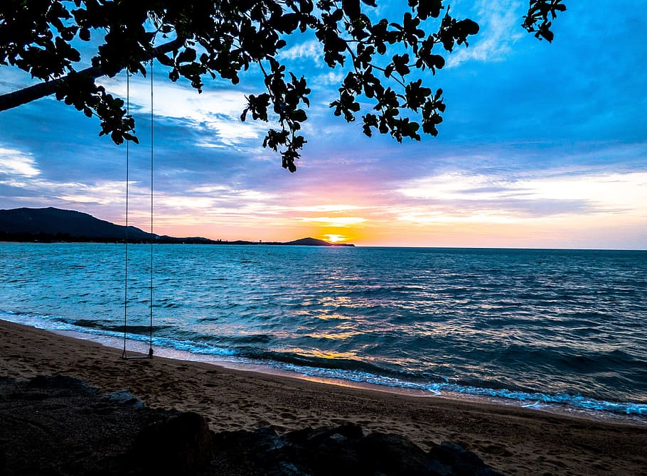 swing chair hanged on tree near seashore, Thailand, Asia, Beach, HD wallpaper