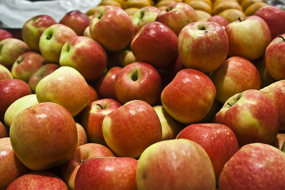 apple fruit lot, apples, harvest, crop, healthy, organic, fresh HD wallpaper