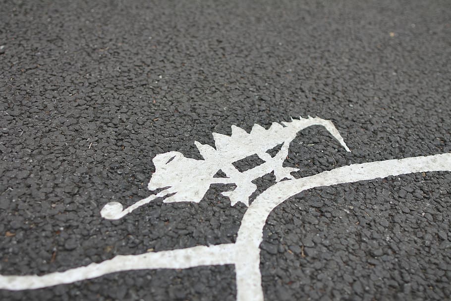 chameleon drawing on asphalt road, paint, white, art, design HD wallpaper