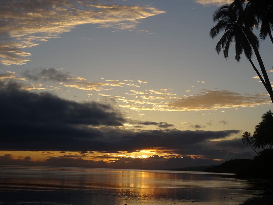 Sunset, Palm, Clouds, abendstimmung, evening sky, evening sun HD wallpaper
