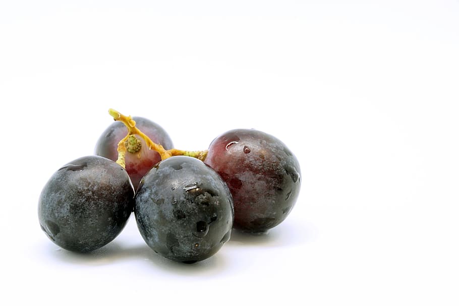 grape, fruit, table grapes, fruits, blue, healthy, food, blue grapes HD wallpaper