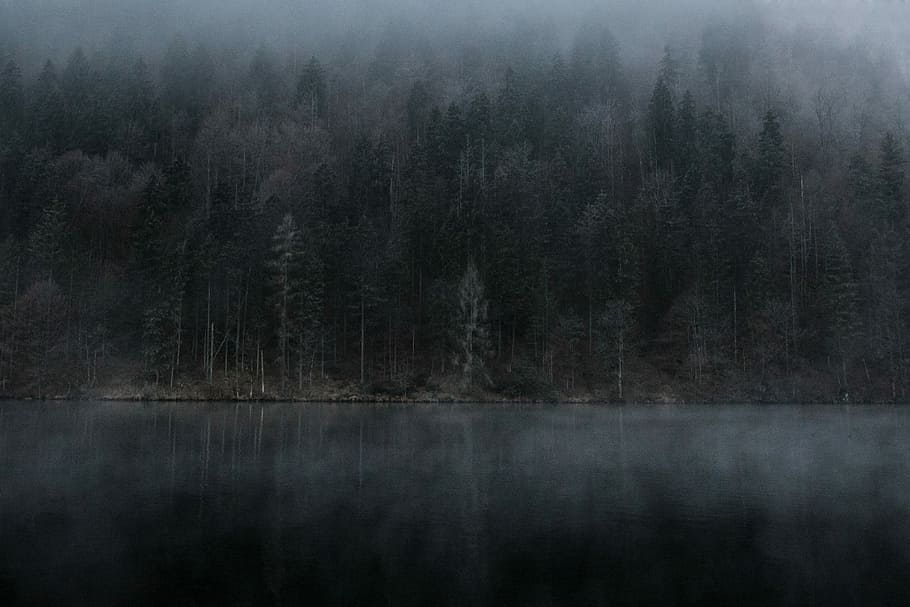 hd-wallpaper-calm-body-of-water-foggy-forest-and-bodies-of-water