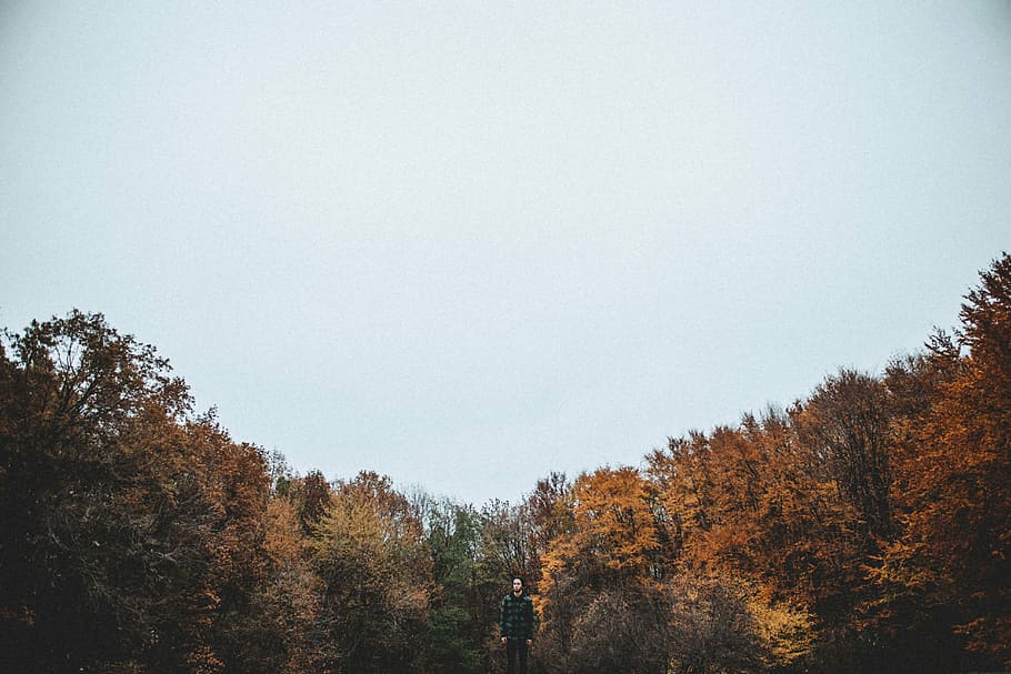 photography of man wearing black bubble jacket near tall trees under cloudy sky HD wallpaper