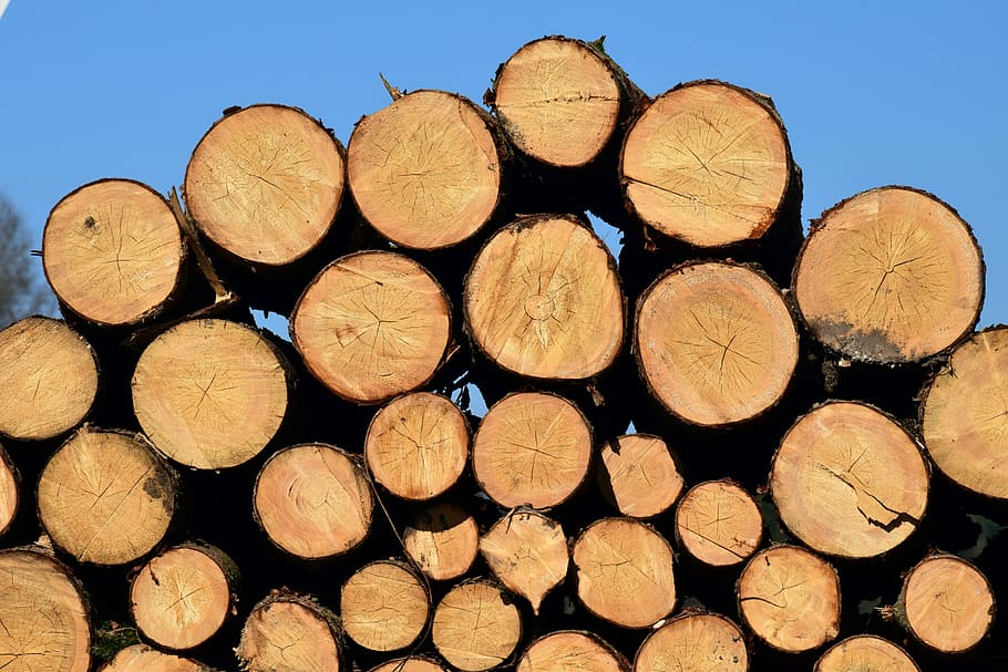 background, pile, firewood, tribe, section, log, stack, storage HD wallpaper