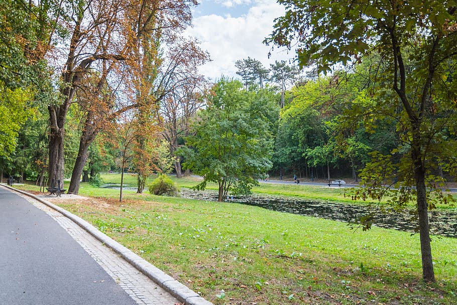park, lamppost, time, nature, craiova, romania, lake, spring HD wallpaper