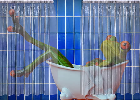 Bathroom, Cute, Frog, frogs, funny, sweet, swim, wash, body care HD wallpaper