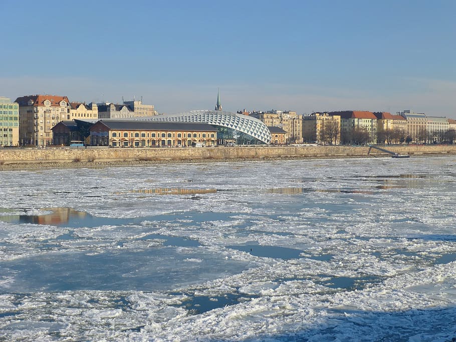 budapest, hungary, danube, ice, winter, cold, whale, blue sky HD wallpaper