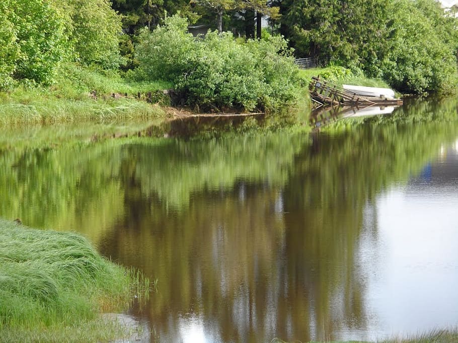 River, Reflections, Oregon, Stream, plants, grass, landscape HD wallpaper