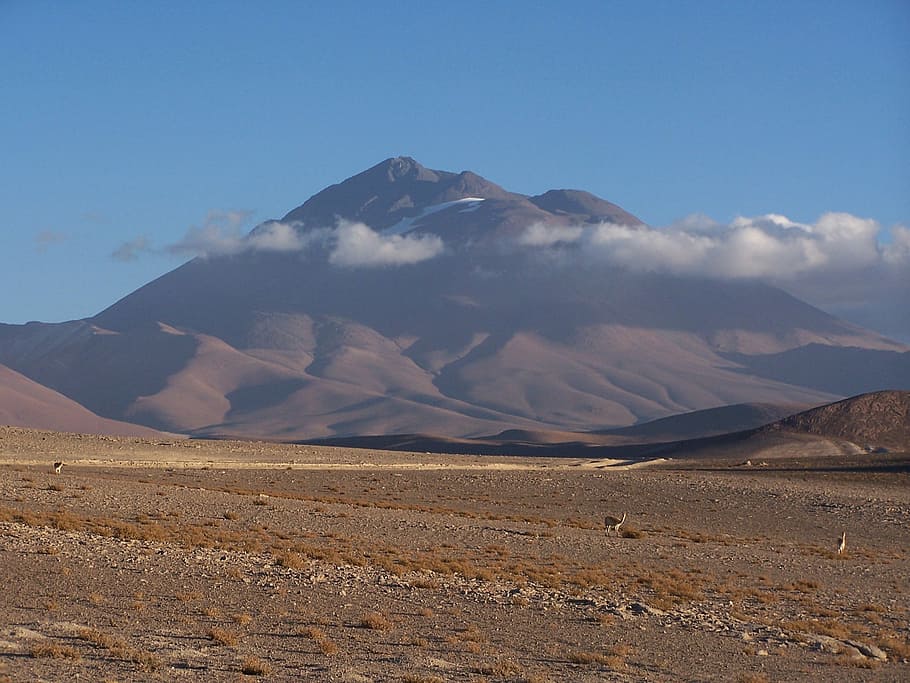 Llullaillaco, Vicuna, Vicunas, Mountain, volcano, andes, south america, HD wallpaper