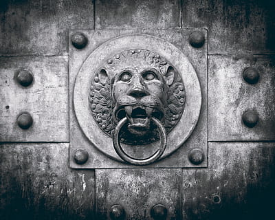 grayscale photo of lion gate knocker, door, doorknocker, metal HD wallpaper