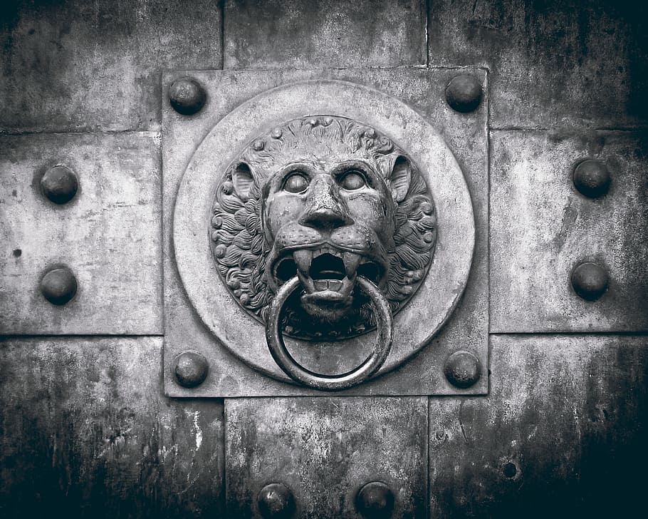 grayscale photo of lion gate knocker, door, doorknocker, metal HD wallpaper