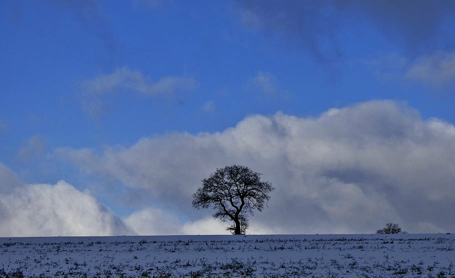 tree, nature, winter, landscape, silhouette, clouds, blue sky HD wallpaper