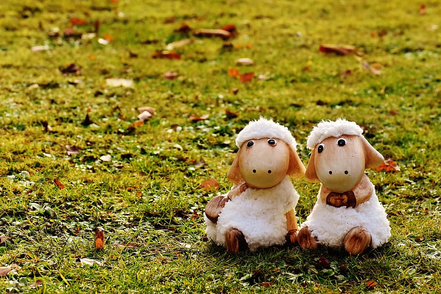 Sheep, Deco, Ceramic, Cute, Figure, soft toy, wool, face, ungulate HD wallpaper