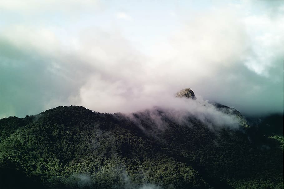 mountain with trees under cloudy sky at daytime, green, range HD wallpaper