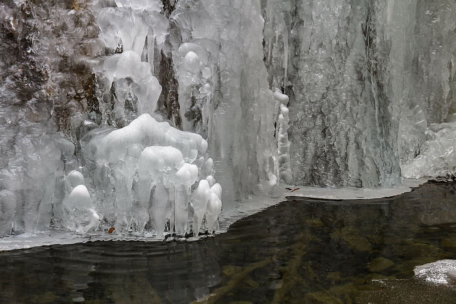 ice, frost, winter, cold temperature, nature, beauty in nature HD wallpaper