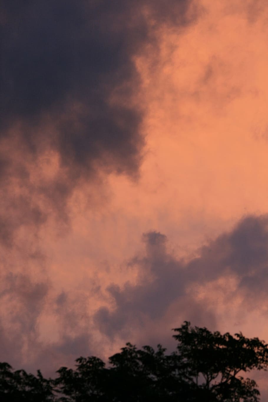 sky, sunset, pink, glow, clouds, wispy, dark, tree tops, cloud - sky HD wallpaper