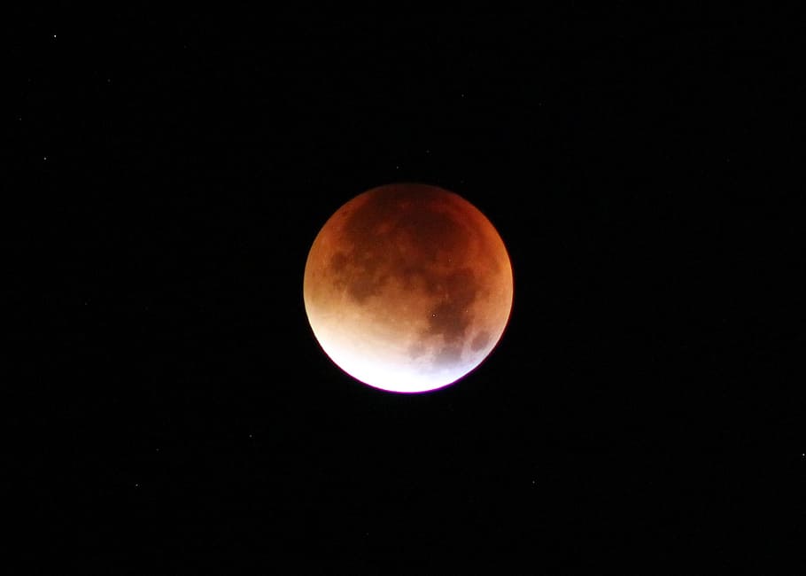 lunar eclipse, moon, night, night photograph, dark, full moon HD wallpaper