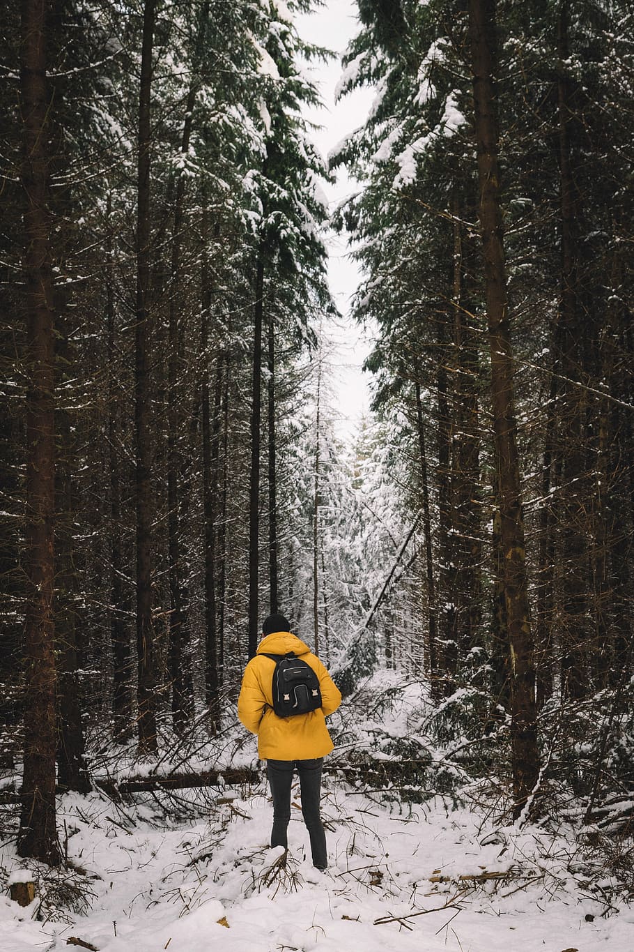 person in yellow bubble jacket and blue jeans in middle of trees, man wearing yellow bubble jacket standing on snow ground during daytime HD wallpaper