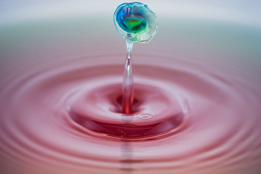 Shallow Focus Photography of Water Droplet, abstract, clean, close-up HD wallpaper