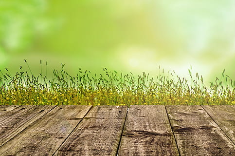 HD wallpaper: green grasses digital wallpaper, background, gardening,  spring | Wallpaper Flare
