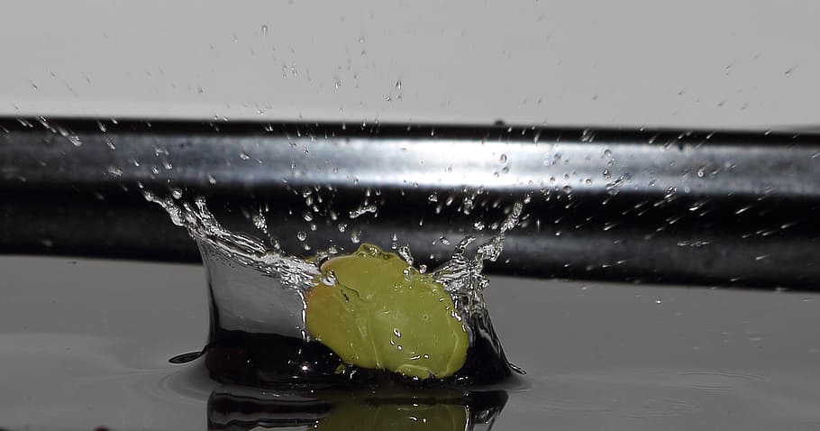 grape, water, drip, fruit, frisch, drop, wet, liquid, splashing HD wallpaper