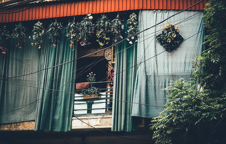 assorted plants outside house with green curtains, green hanging decors hanged behind green curtain screengrab HD wallpaper